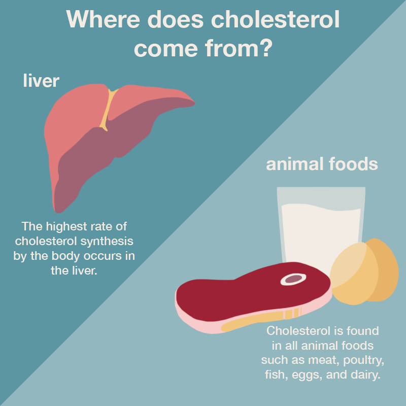Cholesterol And Hd - Cholesterol, Transparent background PNG HD thumbnail