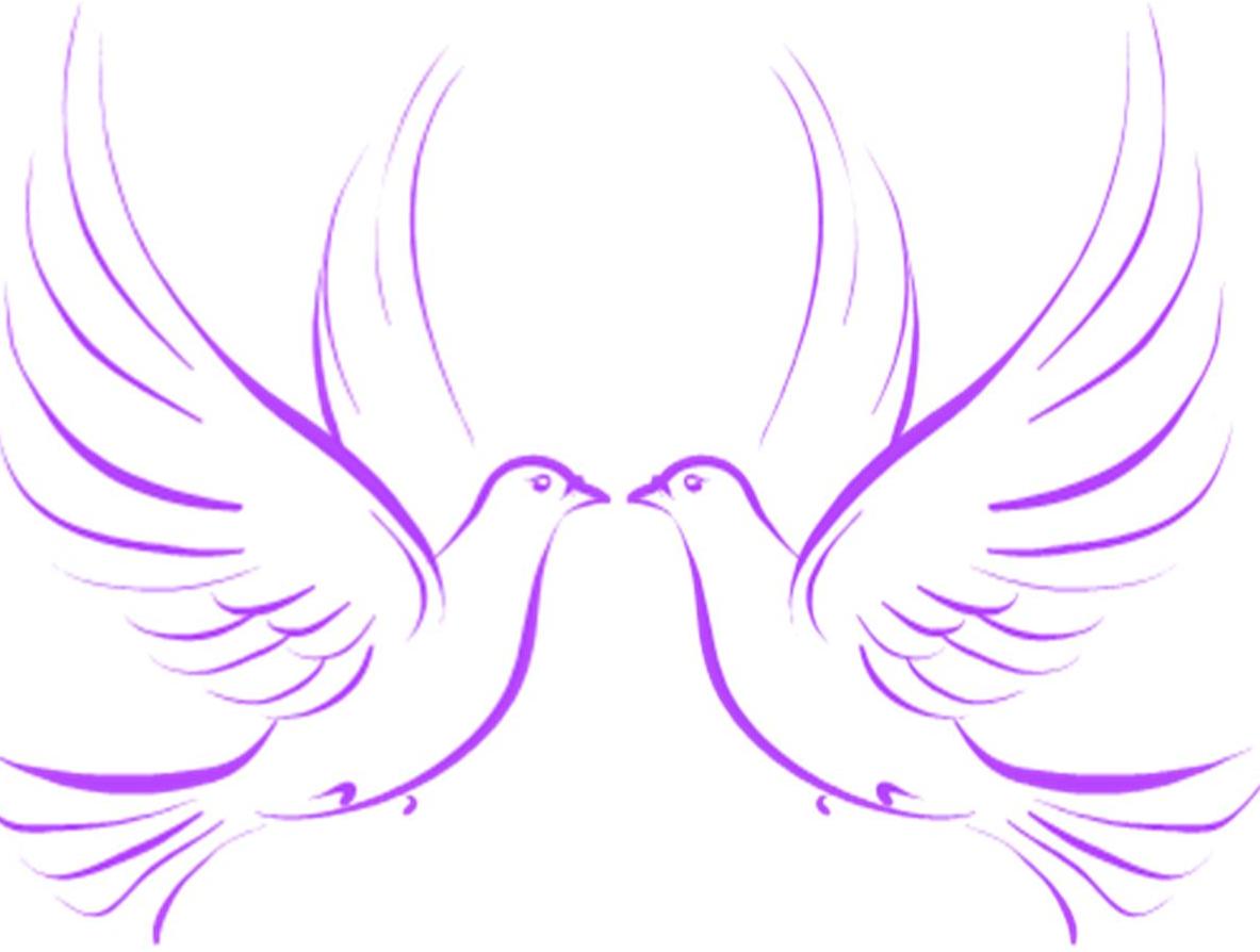 Images For Peace Dove Outline - Christian Love, Transparent background PNG HD thumbnail