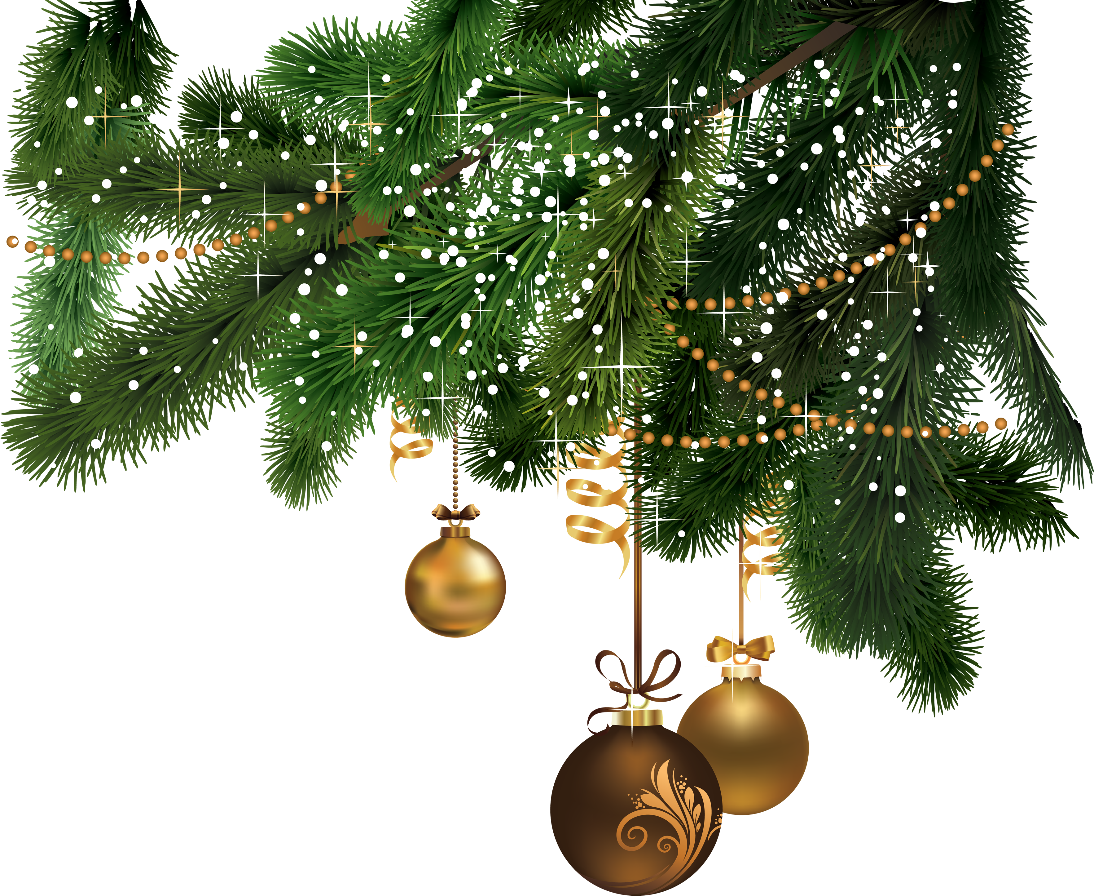 Christmas Fir Tree Png Image - Christmas Tree, Transparent background PNG HD thumbnail