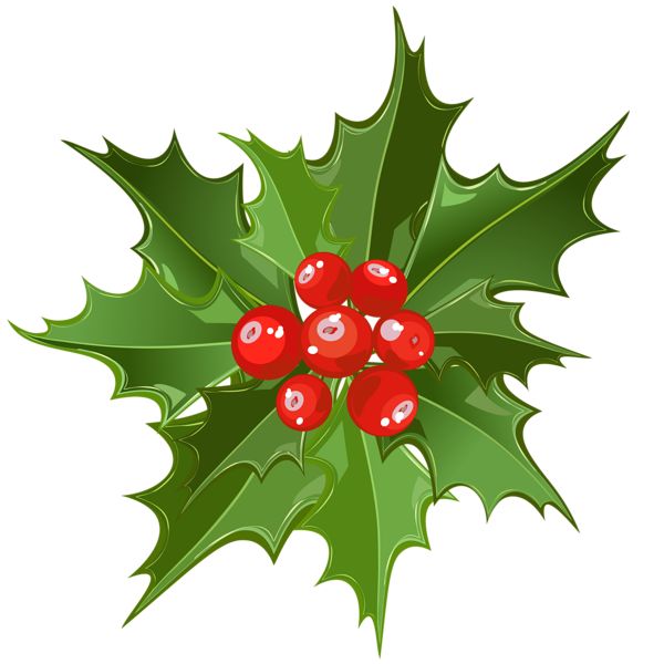 Christmas Mistletoe Png Art - Christmas, Transparent background PNG HD thumbnail