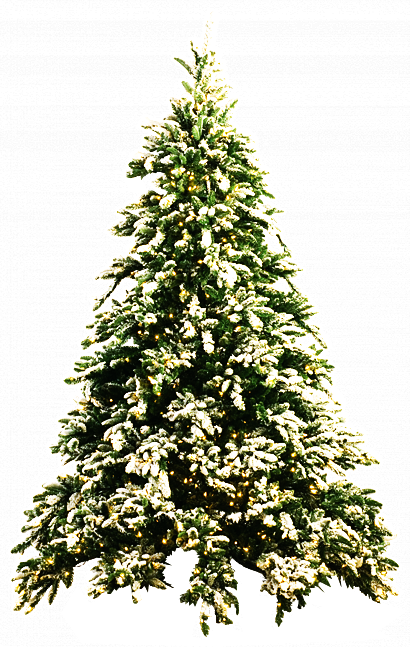 Christmas Tree Png By Dbszabo1 - Christmas Tree, Transparent background PNG HD thumbnail