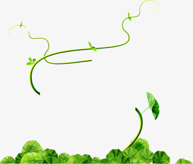 Thin Strips Of Green Vines, Green, Vine, Thin Strips Vines Png And Psd - Cipo, Transparent background PNG HD thumbnail