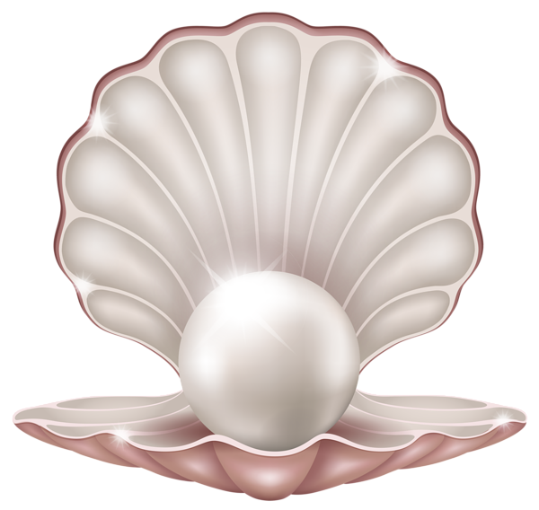 Beautiful Clam With Pearl Png Clipart Image - Clam, Transparent background PNG HD thumbnail