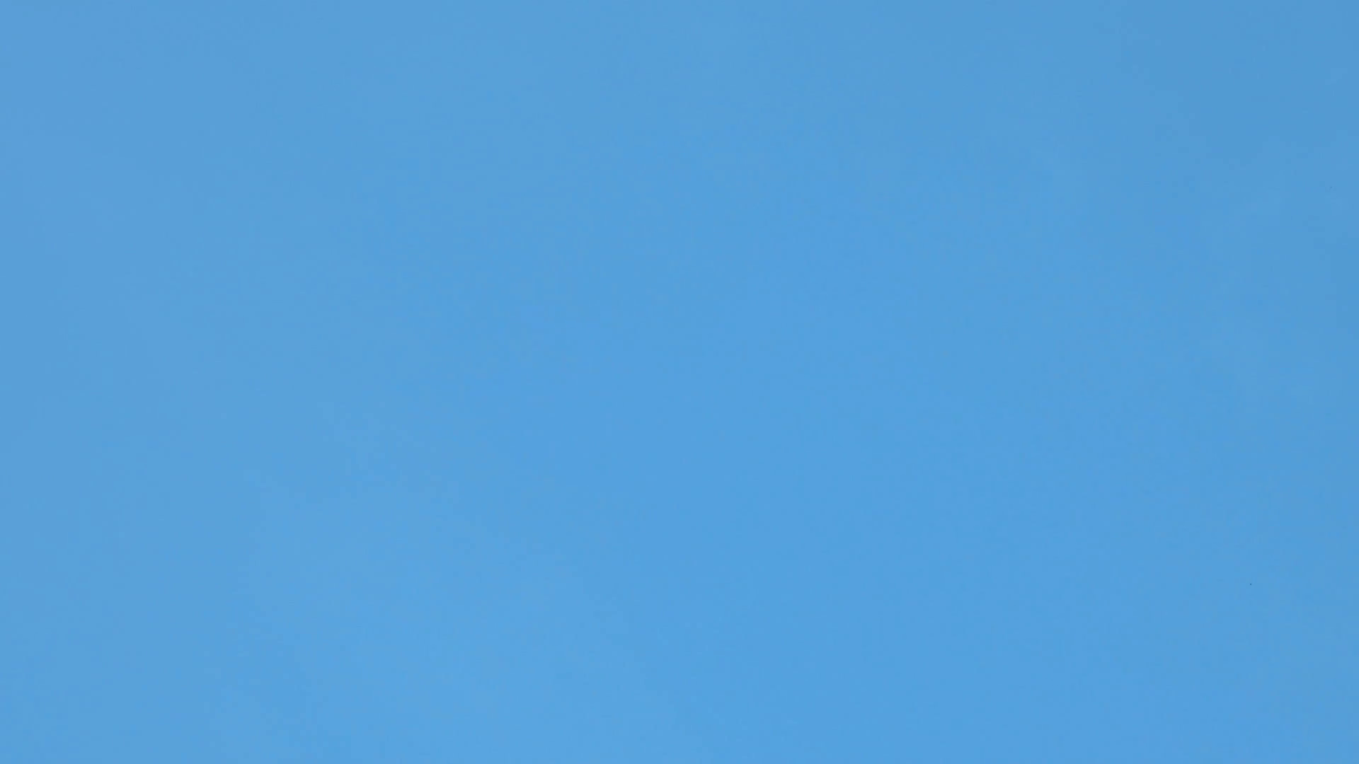 Flock Of White Decorative Pigeons Flying In Clear Blue Sky. White Dove   Symbol Of Peace. Stock Video Footage   Videoblocks - Clear Blue Sky, Transparent background PNG HD thumbnail