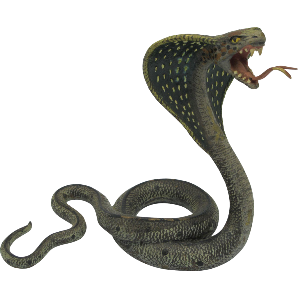 Cobra Snake PNG by LG-Design 