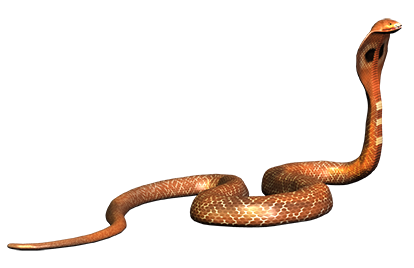 Snake - Cobra Snake, Transparent background PNG HD thumbnail