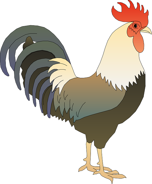 Free Vector Graphic: Rooster, Cock, Tap, Faucet, Hammer   Free Image On Pixabay   161546 - Cock, Transparent background PNG HD thumbnail