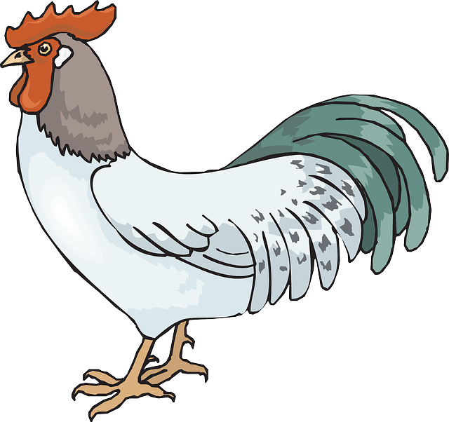Free Vector Graphic: Rooster, Cockerel, Cock, Male   Free Image On Pixabay   45941 - Cock, Transparent background PNG HD thumbnail