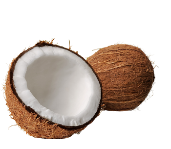 Coconut Png Clipart Png Image - Coconut, Transparent background PNG HD thumbnail
