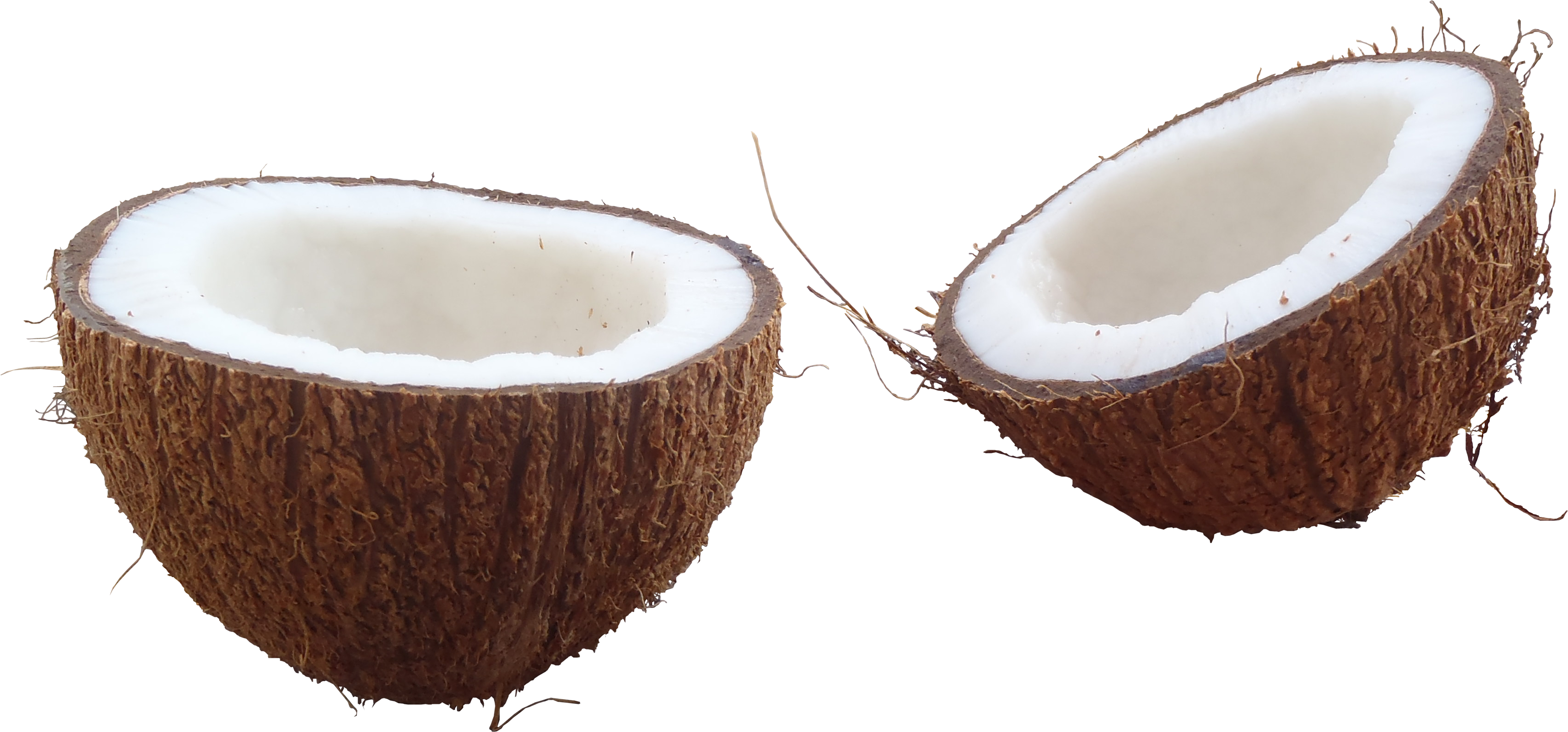 Coconut Trio