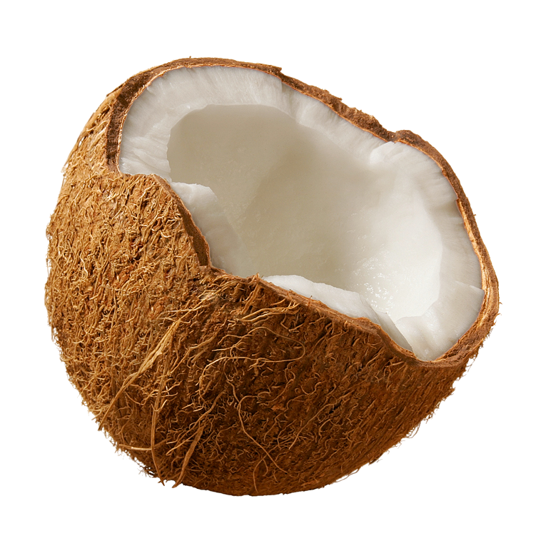 Coconut u2013 our secret favo