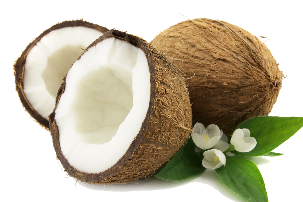 Coconut Png Png Image - Coconut, Transparent background PNG HD thumbnail
