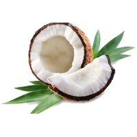 Coconut Png Hd PNG Image