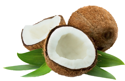 Coconut Free Download Png PNG