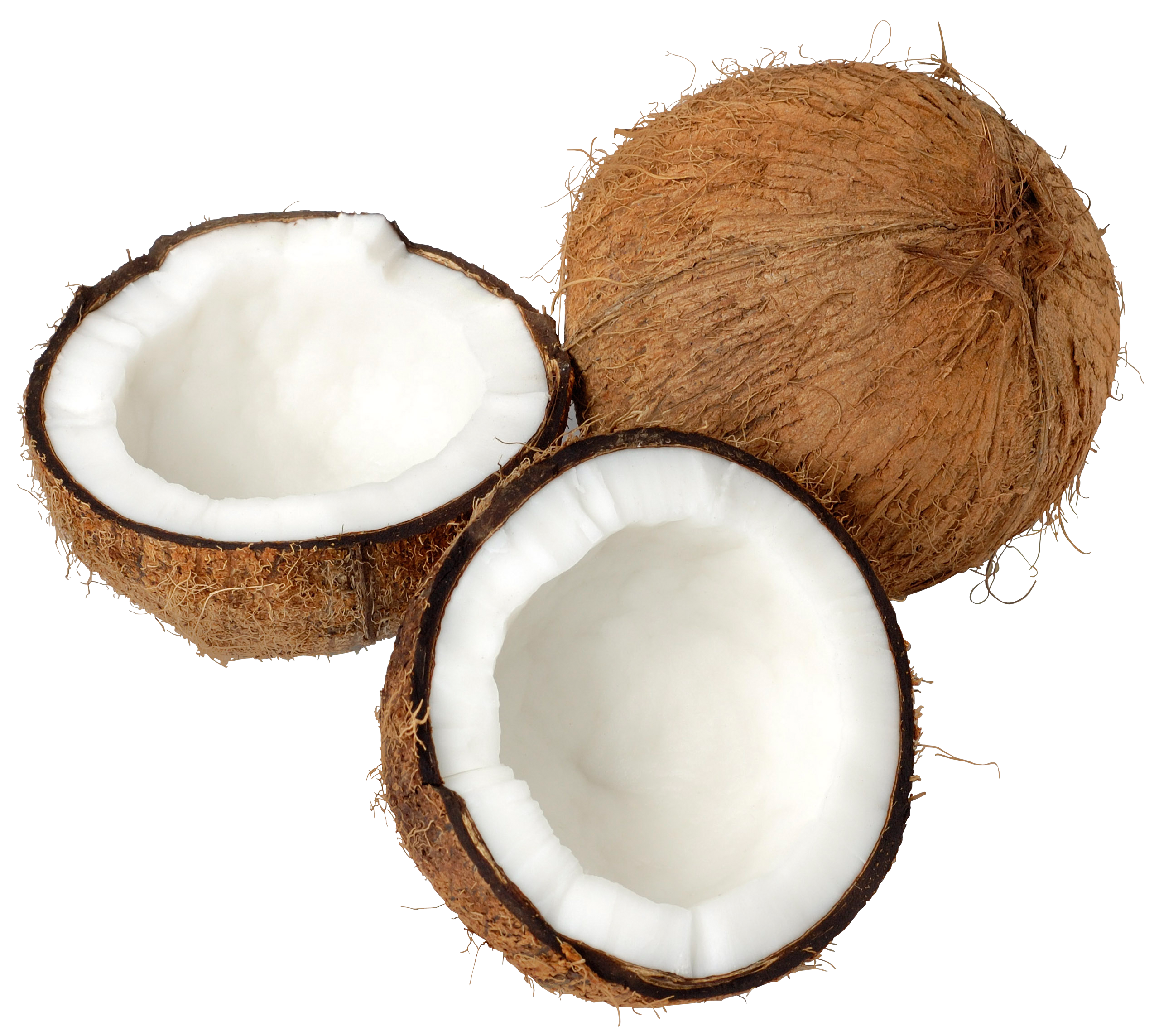 Coconuts Png Image - Coconut, Transparent background PNG HD thumbnail