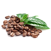 Coffee Beans Png Clipart Png Image - Coffee Beans, Transparent background PNG HD thumbnail