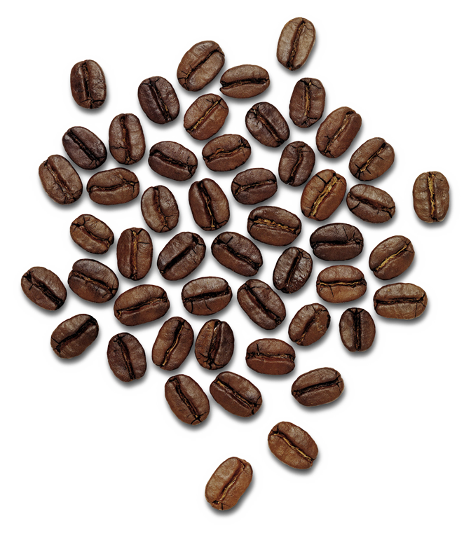 Coffee Beans Png Image - Coffee Beans, Transparent background PNG HD thumbnail