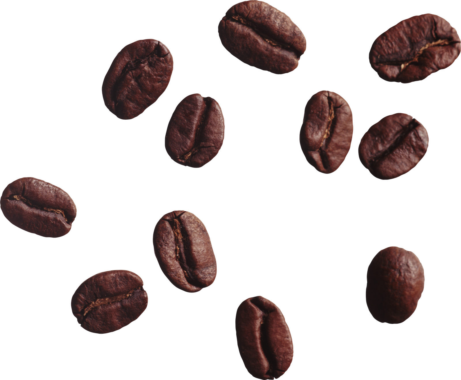 Coffee Beans Png Image Large Size. Image Resolution: 512 X 512 - Coffee Beans, Transparent background PNG HD thumbnail