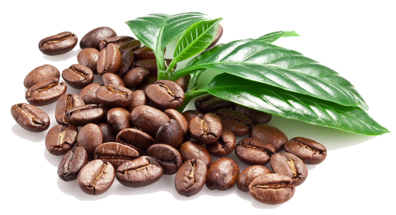 Png File Name: Coffee Beans Hdpng.com  - Coffee Beans, Transparent background PNG HD thumbnail