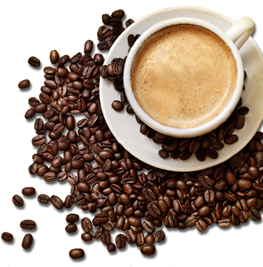 Coffee Beans Wtih Coffee Cup Png Hd, Coffee Beans Png Twenty Five - Coffeebeans, Transparent background PNG HD thumbnail