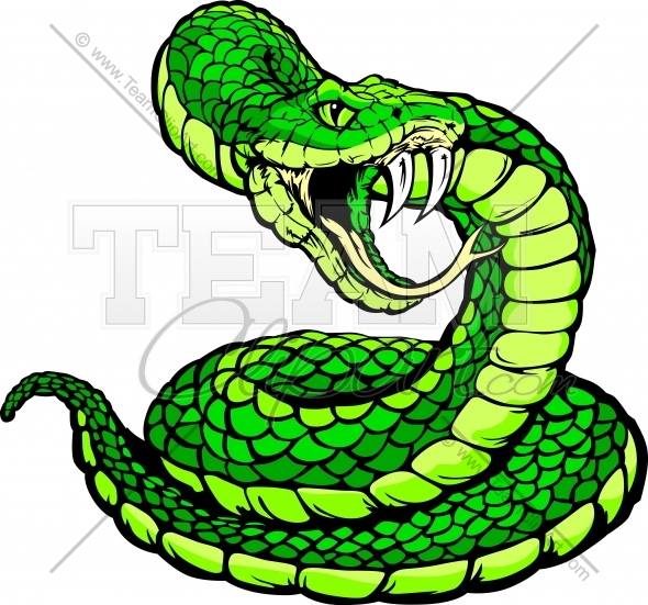 Snake, Coiled, Serpent, Preda
