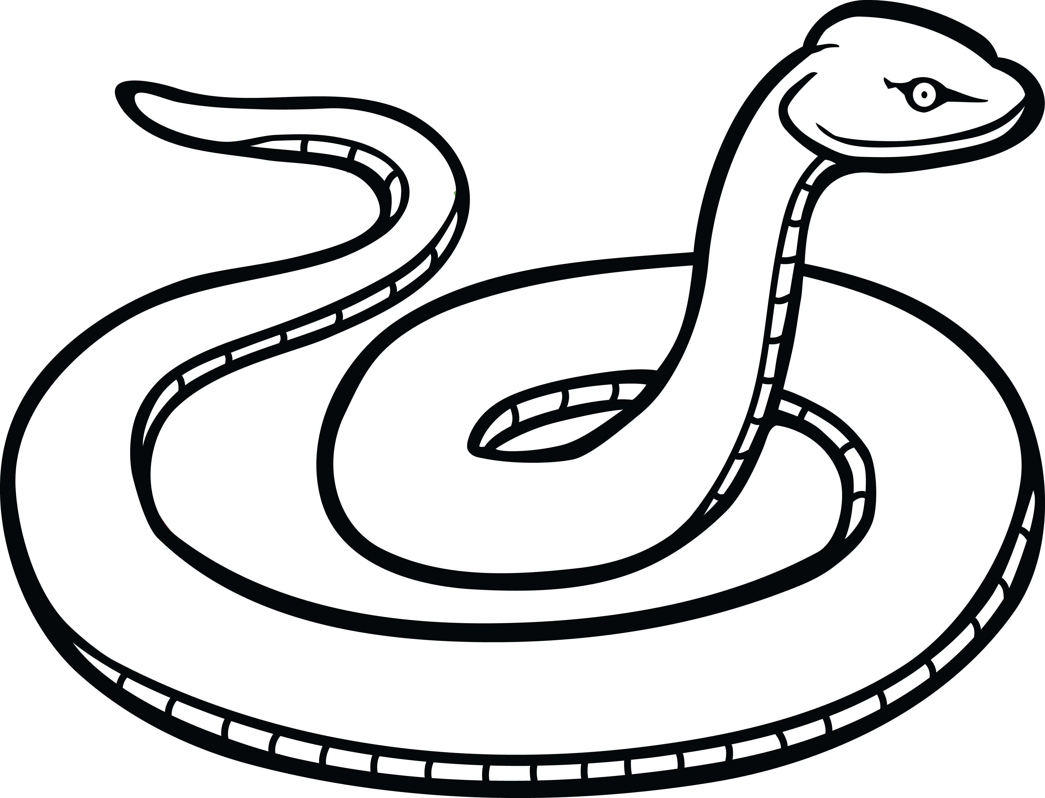 coiled snake clipart