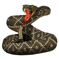 Snake, Coiled, Serpent, Preda