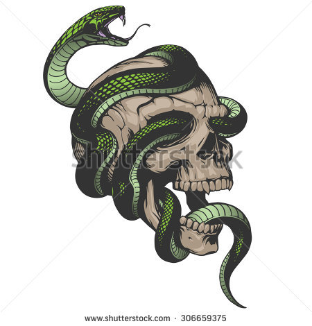 Skull With Snake Illustration - Coiled Snake, Transparent background PNG HD thumbnail