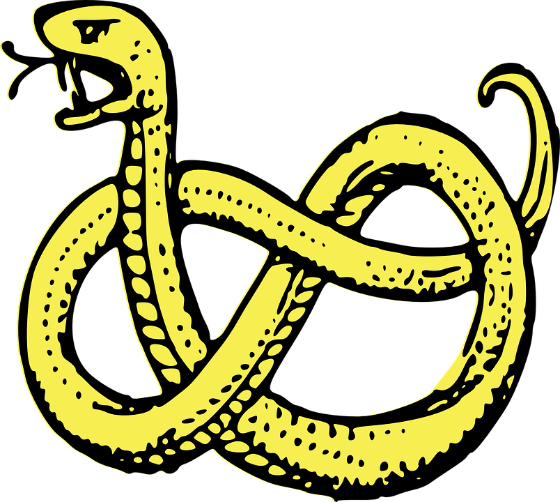 Free Clipart Of A snake #0001