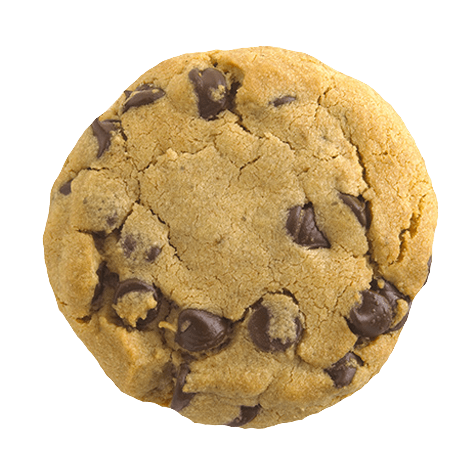 Cookie - Cookie, Transparent background PNG HD thumbnail