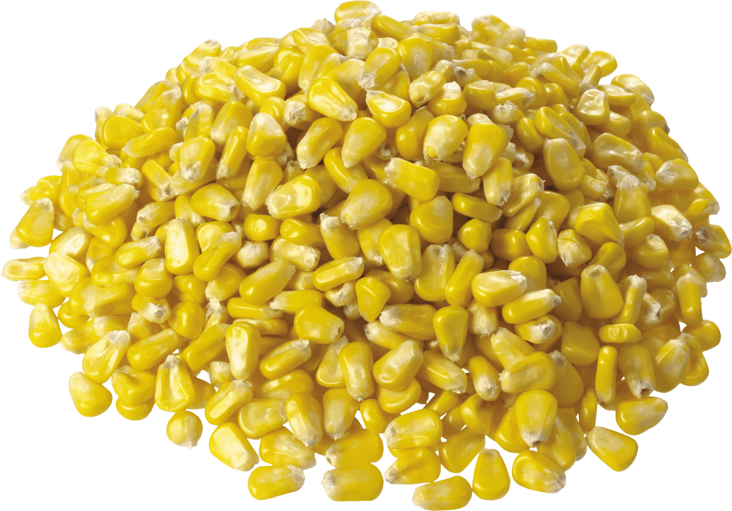 i made this corn transparent