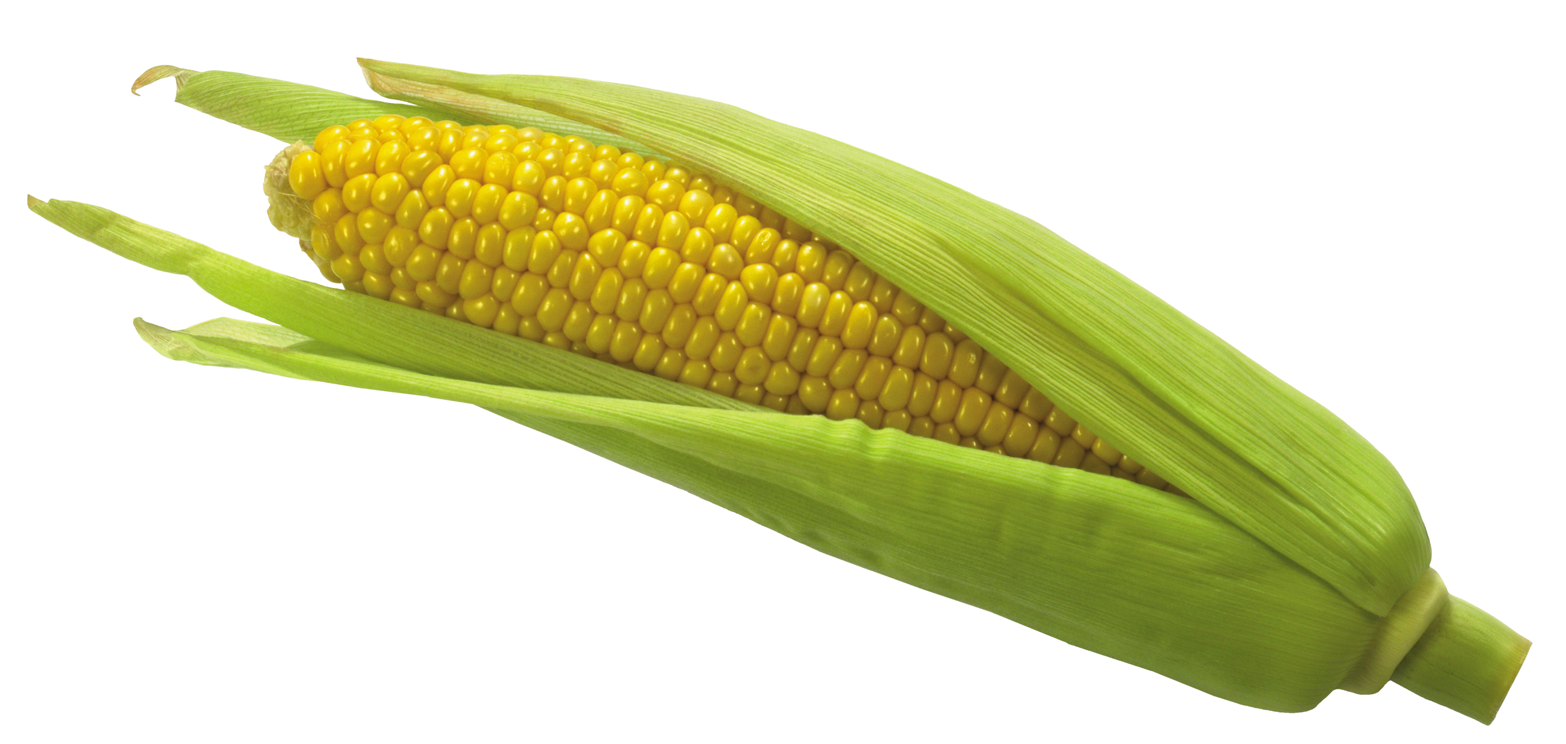 Png File Name: Transparent Corn Png - Corn, Transparent background PNG HD thumbnail
