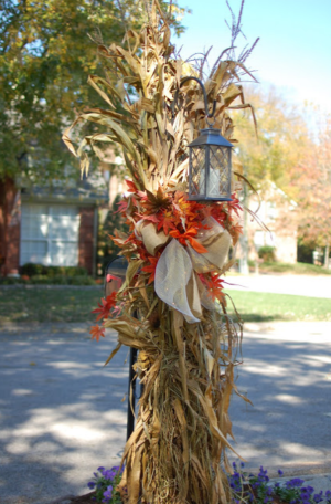a bundle of corn stalk