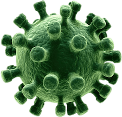 Fifth Coronavirus Case Confir