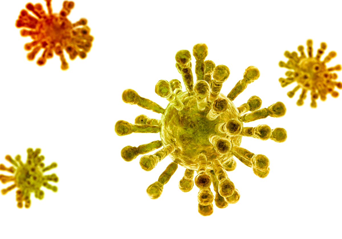Coronavirus Test Kits May Yield Inconclusive Results | The Pluspng.com  - Coronavirus, Transparent background PNG HD thumbnail