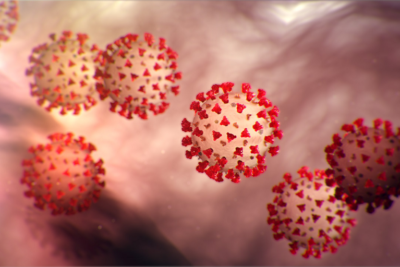 Coronaviruses – National Foundation For Infectious Diseases - Coronavirus, Transparent background PNG HD thumbnail