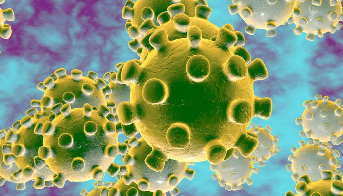 Coronavirus: What Is It, And 