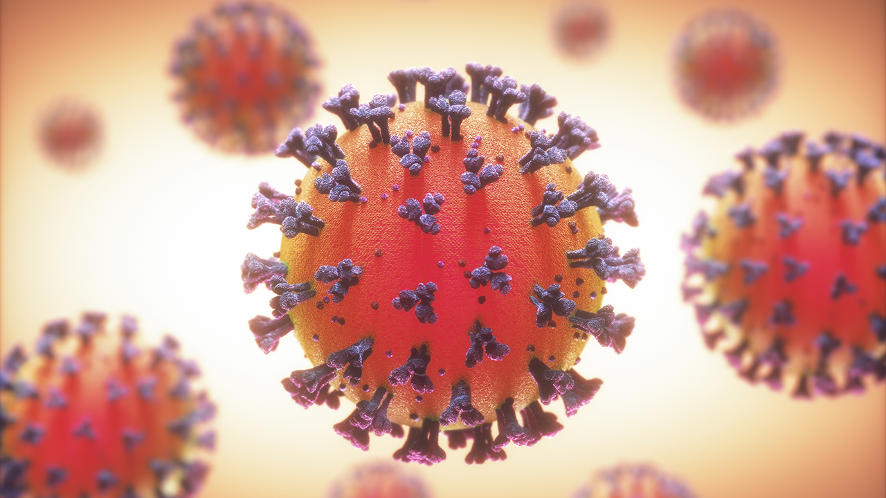 Researchers Find Key—And Vulnerable—Features Of Novel Coronavirus - Coronavirus, Transparent background PNG HD thumbnail