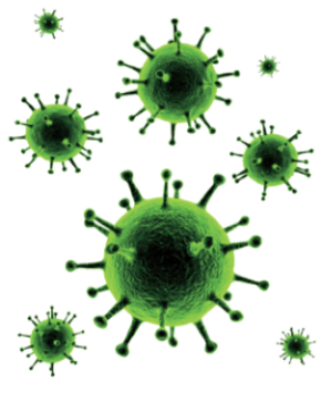 Safe Autoclaving With The Virus Protection Shield | Tuttnauer - Coronavirus, Transparent background PNG HD thumbnail