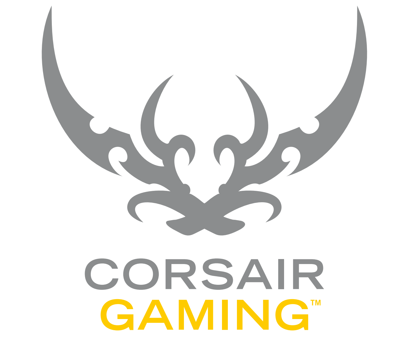 A Petition To Change The Logo (Concerning The Corsair Gaming Logo) Https://www.change Pluspng.com/p/corsair Components Inc Keep The Old Corsair Logo - Corsair, Transparent background PNG HD thumbnail