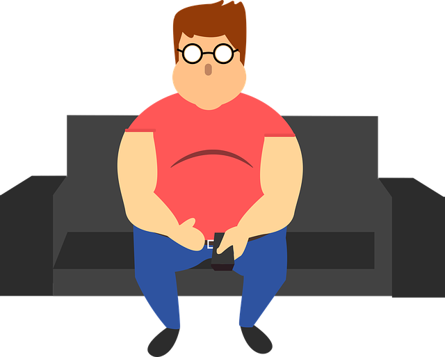 Are Americanu0027S Lazy? How To Make A Effort To Beat Laziness - Couch Potato, Transparent background PNG HD thumbnail