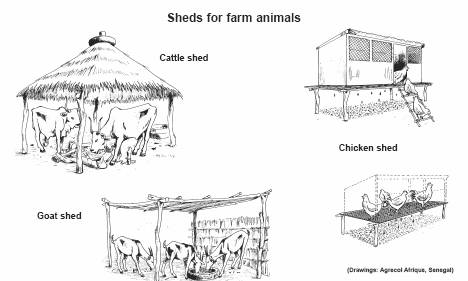 Cowshed Designs Drawings Cow And Shed Clipart Favored Captures Besides 16 - Cow In Shed, Transparent background PNG HD thumbnail