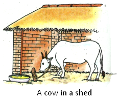 1.3.3.1 How does a cowshed lo