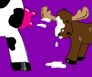 Cow Shoots Moose With Udder? - Cow Udders, Transparent background PNG HD thumbnail