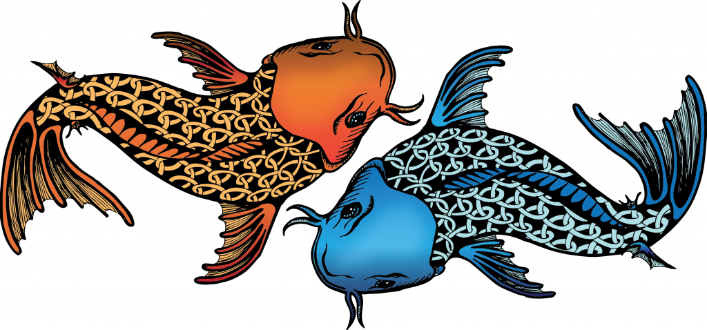 Coy Fish Illustration   Tattoo Illustration   Livehighpop - Coy, Transparent background PNG HD thumbnail