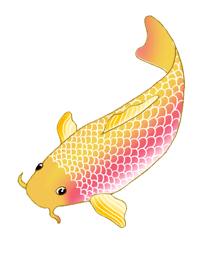 pin Koi Fish clipart transpar