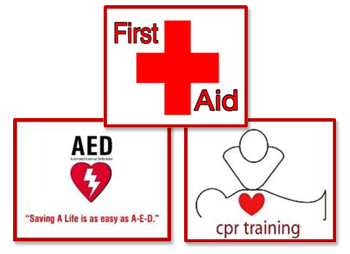 First Aid Training - Cpr Training, Transparent background PNG HD thumbnail