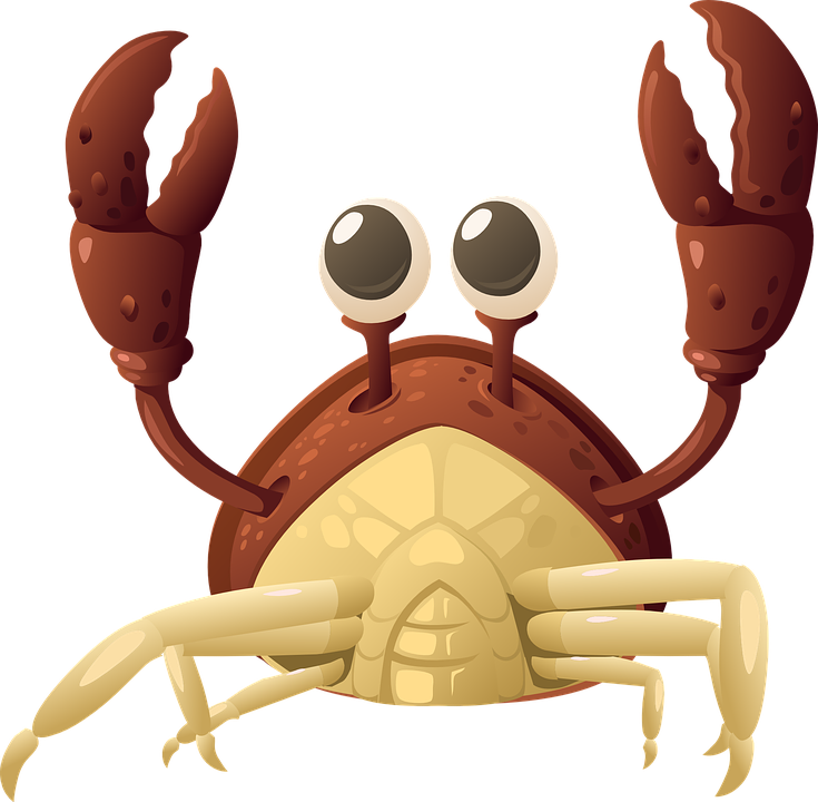 Lobster, Crab, Sea Life, Seafood, Food - Crab, Transparent background PNG HD thumbnail