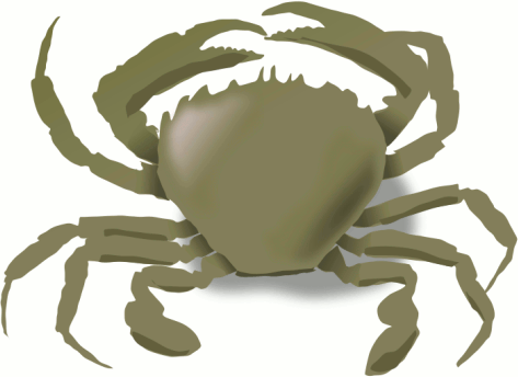 Crab 9 - Crab, Transparent background PNG HD thumbnail