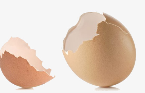 Broken Egg Shell, Product Kind, Egg Shell, Broken Png Image And Clipart - Cracked Egg, Transparent background PNG HD thumbnail